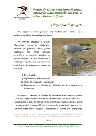 Proxecto de marcaxe e seguimento de gaivotas
                             patiamarelas (Larus michahellis) con anelas de
                             lectura a distancia en Galicia.


                                                          Obxectivos do proxecto
      O principal obxectivo do proxecto é incrementar o coñecemento sobre a
bioloxía e a ecoloxía da gaivota patiamarela.


      O    primeiro      obxectivo        é    acadar
información,       grazas       ao      anelamento
científico, da poboación desta gaivota
establecida        nas        zonas           urbanas,
encamiñada        a    elaborar       medidas        de
xestión eficaces. De vital importancia é
establecer os parámetros que determinan
a dinámica de poboacións, sendo os
principais:


          1) Produtividade.
          2) Supervivencia e recrutamento.
          3) Taxas de emigración e inmigración.
          4) Movementos rexionais e locais (fidelidade, fenoloxía, ocupación e
              distribución).


      O segundo obxectivo centraríase no estudo dos exemplares marcados
 pola nosa organización nas campañas de anelamento dos anos 2000 e 2001.
 Despois de dez anos de estudo, moitos exemplares marcados posúen aneis
 plásticos gastados, o que dificulta enormemente a súa lectura correcta, ou
 carecen desta marca especial. Procederase á captura dos exemplares

Grupo de Anelamento ANDURIÑA. Entidade científica sen ánimo de lucro fundada en 1985. Inscrita no
  Rexistro de Entidades de Carácter Ambiental da Comunidade Autónoma de Galicia co nº 2008/0083.

                                                8 de 29


     O Tobal, 35. 36940 Cangas (Pontevedra) • E-mail albertopastoriza@hotmail.com • Tel.: 658 993 396
 