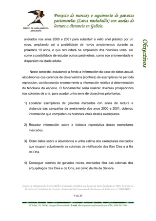 Proxecto de marcaxe e seguimento de gaivotas
                             patiamarelas (Larus michahellis) con anelas de
                             lectura a distancia en Galicia.

 anelados nos anos 2000 e 2001 para substituír o vello anel plástico por un




                                                                                                        Obxectivos
 novo, ampliando así a posibilidade de novos avistamentos durante os
 próximos 10 anos, o que redundará na ampliación dos historiais vitais, así
 como a posibilidade de estudar outros parámetros, como son a lonxevidade e
 dispersión na idade adulta.


      Neste contexto, estudando a fondo a información da base de datos actual,
atopámonos coa carencia de observacións (controis) de exemplares no período
reprodutor, condicionando enormemente a información relativa á determinación
da fenoloxía da especie. O fundamental sería realizar diversas prospeccións
nas colonias de cría, para acadar unha serie de obxectivos prioritarios:


 1) Localizar exemplares de gaivotas marcados con aneis de lectura a
     distancia das campañas de anelamento dos anos 2000 e 2001, obtendo
     información que completen os historiais vitais destes exemplares.


 2) Recadar información sobre a bioloxía reprodutiva deses exemplares
     marcados.


 3) Obter datos sobre a abundancia e unha estima dos exemplares marcados
     que ocupan actualmente as colonias de nidificación das Illas Cíes e a Illa
     de Ons.


 4) Conseguir controis de gaivotas novas, marcadas fóra das colonias dos
     arquipélagos das Cíes e de Ons, así como da Illa de Sálvora.




Grupo de Anelamento ANDURIÑA. Entidade científica sen ánimo de lucro fundada en 1985. Inscrita no
  Rexistro de Entidades de Carácter Ambiental da Comunidade Autónoma de Galicia co nº 2008/0083.

                                                9 de 29


     O Tobal, 35. 36940 Cangas (Pontevedra) • E-mail albertopastoriza@hotmail.com • Tel.: 658 993 396
 