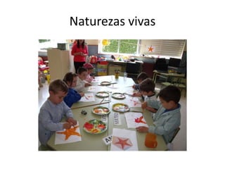 Naturezas vivas
 