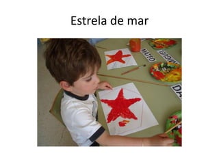 Estrela de mar
 