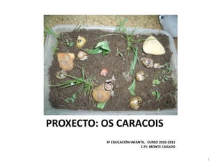 PROXECTO: OS CARACOIS
4º EDUCACIÓN INFANTIL. CURSO 2010-2011
C.P.I. MONTE CAXADO
1

 