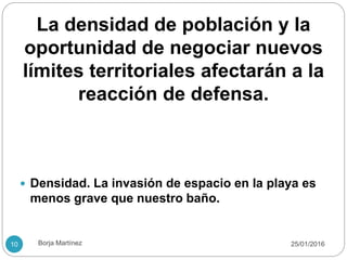 La densidad de población y la
oportunidad de negociar nuevos
límites territoriales afectarán a la
reacción de defensa.
 Densidad. La invasión de espacio en la playa es
menos grave que nuestro baño.
25/01/201610 Borja Martínez
 