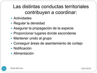 Las distintas conductas territoriales
contribuyen a coordinar:
 Actividades
 Regular la densidad
 Asegurar la propagación de la especie
 Proporcionar lugares donde esconderse
 Mantener unido al grupo
 Conseguir áreas de asentamiento de cortejo
 Nidificación
 Alimentación
25/01/20165 Borja Martínez
 