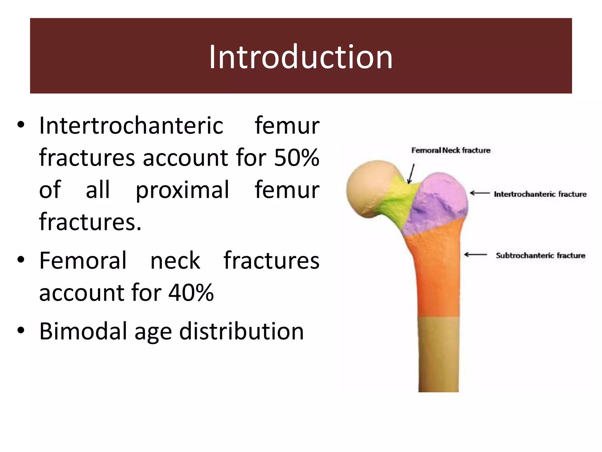 • Intertrochanteric femur
fractures account for 50%
of all proximal femur
fractures.
• Femoral neck fractures
account for 40%
• Bimodal age distribution
Introduction
 