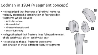 Codman in 1934 (4 segment concept)
• He recognized that fractures of proximal humerus
typically produced a combination of four possible
fragments which includes
• Articular surface
• Humeral shaft
• Greater tuberosity and
• Lesser tuberosity
• He hypothesized that fracture lines followed remnant
of old epiphyseal plate - epiphyseal scar
• He concluded that all fractures were some
combination of these different fracture fragments
 