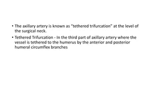 • The axillary artery is known as “tethered trifurcation” at the level of
the surgical neck.
• Tethered Trifurcation - In the third part of axillary artery where the
vessel is tethered to the humerus by the anterior and posterior
humeral circumflex branches
 