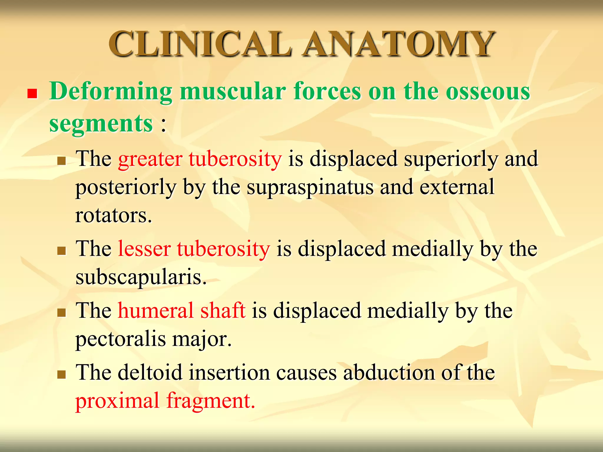 Proximal humerus fractures | PPTX