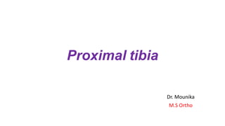 Proximal tibia
Dr. Mounika
M.S Ortho
 