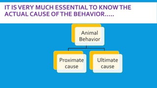 Proximate vs ultimate causes of animal behavior