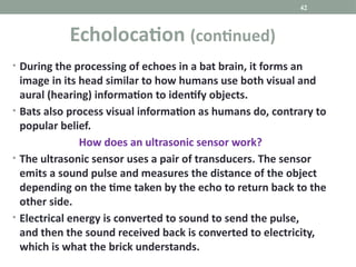 • During the processing of echoes in a bat brain, it forms an
image in its head similar to how humans use both visual and
aural (hearing) information to identify objects.
• Bats also process visual information as humans do, contrary to
popular belief.
How does an ultrasonic sensor work?
• The ultrasonic sensor uses a pair of transducers. The sensor
emits a sound pulse and measures the distance of the object
depending on the time taken by the echo to return back to the
other side.
• Electrical energy is converted to sound to send the pulse,
and then the sound received back is converted to electricity,
which is what the brick understands.
42
Echolocation (continued)
 