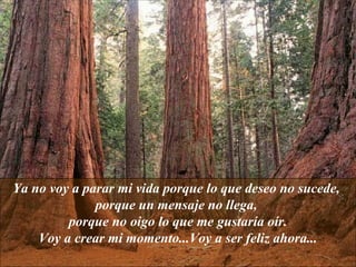 Ya no voy a parar mi vida porque lo que deseo no sucede,
              porque un mensaje no llega,
         porque no oigo lo que me gustaría oír.
    Voy a crear mi momento...Voy a ser feliz ahora...
 