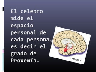 El celebro
mide el
espacio
personal de
cada persona,
es decir el
grado de
Proxemía.
 