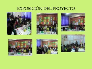 EXPOSICIÓN DEL PROYECTO 
 