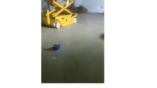 PROY. Seguridad en el uso de Plataformas Elevadoras (1).pptx