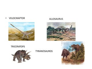• VELOCIRAPTOR            ALLOSAURUS




   TRICERATOPS
                 TYRANOSAUROS
 