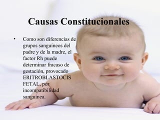 Causas Constitucionales
•   Como son diferencias de
    grupos sanguíneos del
    padre y de la madre, el
    factor Rh puede
    determinar fracaso de
    gestación, provocado
    ERITROBLASTOCIS
    FETAL, por
    incompatibilidad
    sanguínea.
 