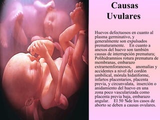 Causas
          Uvulares
•   Huevos defectuosos en cuanto al
    plasma germinativo, y
    generalmente son expulsados
    prematuramente. En cuanto a
    anexos del huevo son también
    causas de interrupción prematura;
    Polihidramnios rotura prematura de
    membranas, embarazo
    extrarnemforanosos, anomalías y
    accidentes a nivel del cordón
    umbilical, mórula hidatiforme,
    infartos placentarios, placenta
    previa, y circunvalata, inserción o
    anidamiento del huevo en una
    zona poco vascularizada como
    placenta previa baja, embarazo
    angular. El 50 %de los casos de
    aborto se deben a causas ovulares.
 