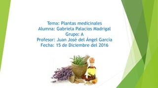 Tema: Plantas medicinales
Alumna: Gabriela Palacios Madrigal
Grupo: A
Profesor: Juan José del Ángel García
Fecha: 15 de Diciembre del 2016
 