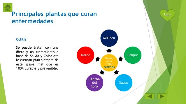 Tireoidnye los preparados para el adelgazamiento
