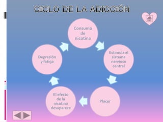 Consumo
de
nicotina
Estimula el
sistema
nervioso
central
Placer
El efecto
de la
nicotina
desaparece
Depresión
y fatiga
 