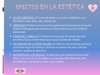  OLOR CORPORAL: El humo de tabaco y su olor se adhieren con
facilidad a ropa, pelo, piel, manos, etc.
 ARRUGAS: El tabaco provoca el envejecimiento prematuro en la piel
debido al desgaste que ocasiona en las proteínas que le confieren
elasticidad.
 CAIDA DELCABELLO: El tabaco provoca que el cuerpo sea mas
sensible al lupus eritematoso que causa la caída del cabello.
 DETERIORO DE LA DENTADURA:Al inferir en los procesos químicos
que tienen lugar en la boca y provoca un exceso de sarro, tiñe los
dientes y acelera el deterioro.
 DICROMÍA DE LOS DEDOS: El alquitrán que contiene el humo del
tabaco se acumula en los dedos y en las uñas tiñéndolos de color
amarillento y causando un olor muy molesto.
 