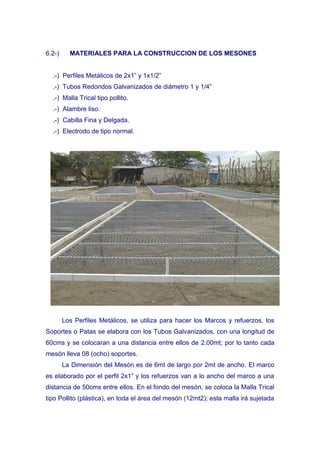 6.2-)     MATERIALES PARA LA CONSTRUCCION DE LOS MESONES


  .-) Perfiles Metálicos de 2x1” y 1x1/2”
  .-) Tubos Redondos Galvanizados de diámetro 1 y 1/4”
  .-) Malla Trical tipo pollito.
  .-) Alambre liso.
  .-) Cabilla Fina y Delgada.
  .-) Electrodo de tipo normal.




        Los Perfiles Metálicos, se utiliza para hacer los Marcos y refuerzos, los
Soportes o Patas se elabora con los Tubos Galvanizados, con una longitud de
60cms y se colocaran a una distancia entre ellos de 2.00mt; por lo tanto cada
mesón lleva 08 (ocho) soportes.
        La Dimensión del Mesón es de 6mt de largo por 2mt de ancho. El marco
es elaborado por el perfil 2x1” y los refuerzos van a lo ancho del marco a una
distancia de 50cms entre ellos. En el fondo del mesón, se coloca la Malla Trical
tipo Pollito (plástica), en toda el área del mesón (12mt2); esta malla irá sujetada
 