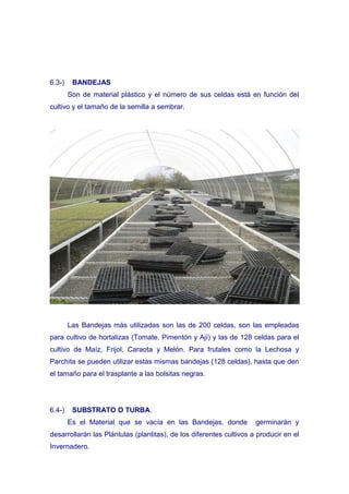 6.3-)    BANDEJAS
        Son de material plástico y el número de sus celdas está en función del
cultivo y el tamaño de la semilla a sembrar.




        Las Bandejas más utilizadas son las de 200 celdas, son las empleadas
para cultivo de hortalizas (Tomate, Pimentón y Ají) y las de 128 celdas para el
cultivo de Maíz, Frijol, Caraota y Melón. Para frutales como la Lechosa y
Parchita se pueden utilizar estas mismas bandejas (128 celdas), hasta que den
el tamaño para el trasplante a las bolsitas negras.




6.4-)    SUBSTRATO O TURBA.
        Es el Material que se vacía en las Bandejas, donde           germinarán y
desarrollarán las Plántulas (plantitas), de los diferentes cultivos a producir en el
Invernadero.
 