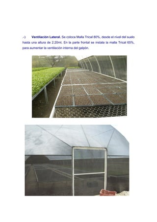 .-)   Ventilación Lateral. Se coloca Malla Trical 80%, desde el nivel del suelo
hasta una altura de 2.20mt. En la parte frontal se instala la malla Trical 65%,
para aumentar la ventilación interna del galpón.
 