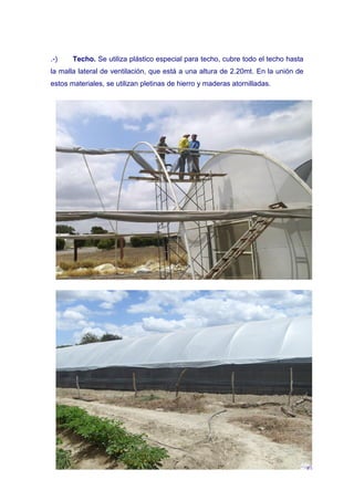 .-)    Techo. Se utiliza plástico especial para techo, cubre todo el techo hasta
la malla lateral de ventilación, que está a una altura de 2.20mt. En la unión de
estos materiales, se utilizan pletinas de hierro y maderas atornilladas.
 