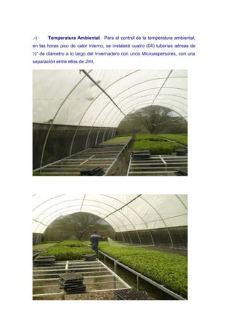 .-)    Temperatura Ambiental. Para el control de la temperatura ambiental,
en las horas pico de calor interno, se instalará cuatro (04) tuberías aéreas de
½” de diámetro a lo largo del Invernadero con unos Microaspersores, con una
separación entre ellos de 2mt.
 
