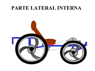 PARTE LATERAL INTERNA
c
c