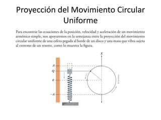 Proyección del Movimiento Circular
Uniforme
 