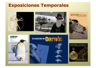 Exposiciones Temporales
 