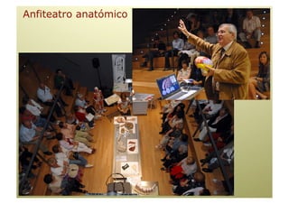 Anfiteatro anatómico
 