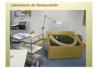 Laboratorio de Restauración
 