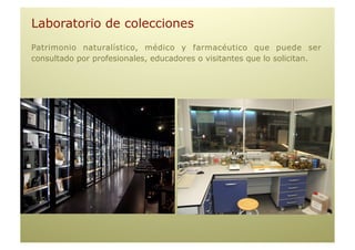 Laboratorio de colecciones
Patrimonio naturalístico, médico y farmacéutico que puede ser
consultado por profesionales, educadores o visitantes que lo solicitan.
 