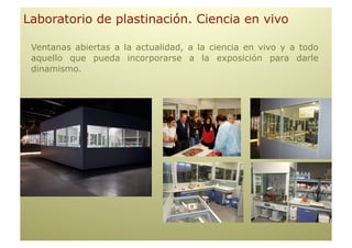 Laboratorio de plastinación. Ciencia en vivo

 Ventanas abiertas a la actualidad, a la ciencia en vivo y a todo
 aquello que pueda incorporarse a la exposición para darle
 dinamismo.
 