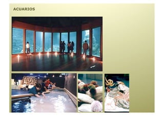 ACUARIOS
 