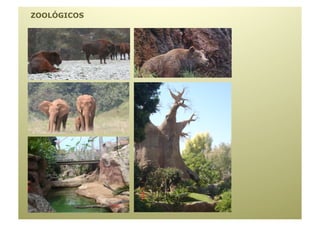 ZOOLÓGICOS
 