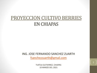 PROYECCION CULTIVO BERRIES
EN CHIAPAS
ING. JOSE FERNANDO SANCHEZ ZUARTH
fsanchezzuarth@gmail.com
TUXTLA GUTIERREZ, CHIAPAS
10 MARZO DEL 2021
1
 