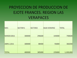 PROYECCION DE PRODUCCION DE
EJOTE FRANCES. REGION LAS
VERAPACES
 