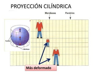 Más deformado
PROYECCIÓN CILÍNDRICA
 