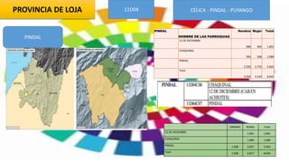 PROVINCIA DE LOJA 11D04 CÉLICA - PINDAL - PUYANGO
PINDAL
PINDAL
NOMBRE DE LAS PARROQUIAS
Hombre Mujer Total
12 DE DICIEMBRE
989 902 1.891
CHAQUINAL
583 506 1.089
PINDAL
2.930 2.735 5.665
Total
4.502 4.143 8.645
URBANO RURAL Total
12 DE DICIEMBRE - 1.891 1.891
CHAQUINAL - 1.089 1.089
PINDAL 1.828 3.837 5.665
Total 1.828 6.817 8.645
 