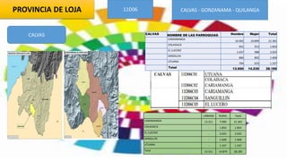PROVINCIA DE LOJA 11D06 CALVAS - GONZANAMA - QUILANGA
CALVAS CALVAS NOMBRE DE LAS PARROQUIAS Hombre Mujer Total
CARIAMANGA
10.402 10.899 21.301
COLAISACA
941 913 1.854
EL LUCERO
1.037 988 2.025
SANGILLIN
866 802 1.668
UTUANA
704 633 1.337
Total 13.950 14.235 28.185
URBANO RURAL Total
CARIAMANGA 13.311 7.990 21.301
COLAISACA - 1.854 1.854
EL LUCERO - 2.025 2.025
SANGILLIN - 1.668 1.668
UTUANA - 1.337 1.337
Total 13.311 14.874 28.185
 