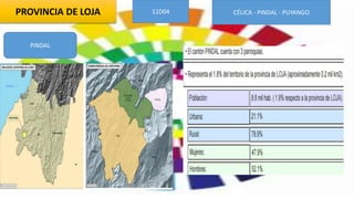 PROVINCIA DE LOJA 11D04 CÉLICA - PINDAL - PUYANGO
PINDAL
 