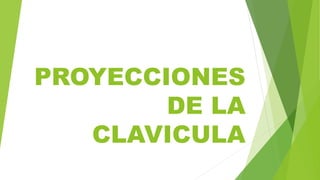 PROYECCIONES
DE LA
CLAVICULA
 