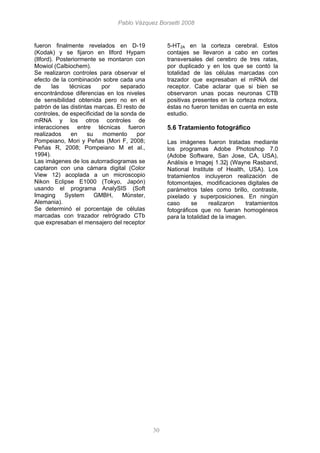 Proyecciones De La Corteza Prefrontal Unlocked By Www Freemypdf Com Proyecciones De La Corteza Prefrontal Unlocked By Www Freemypdf Com