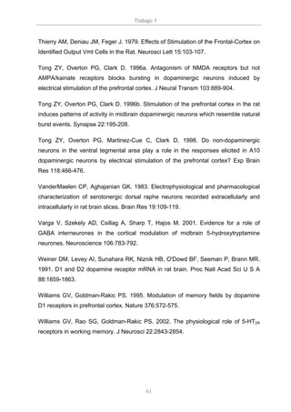 Proyecciones De La Corteza Prefrontal Unlocked By Www Freemypdf Com Proyecciones De La Corteza Prefrontal Unlocked By Www Freemypdf Com