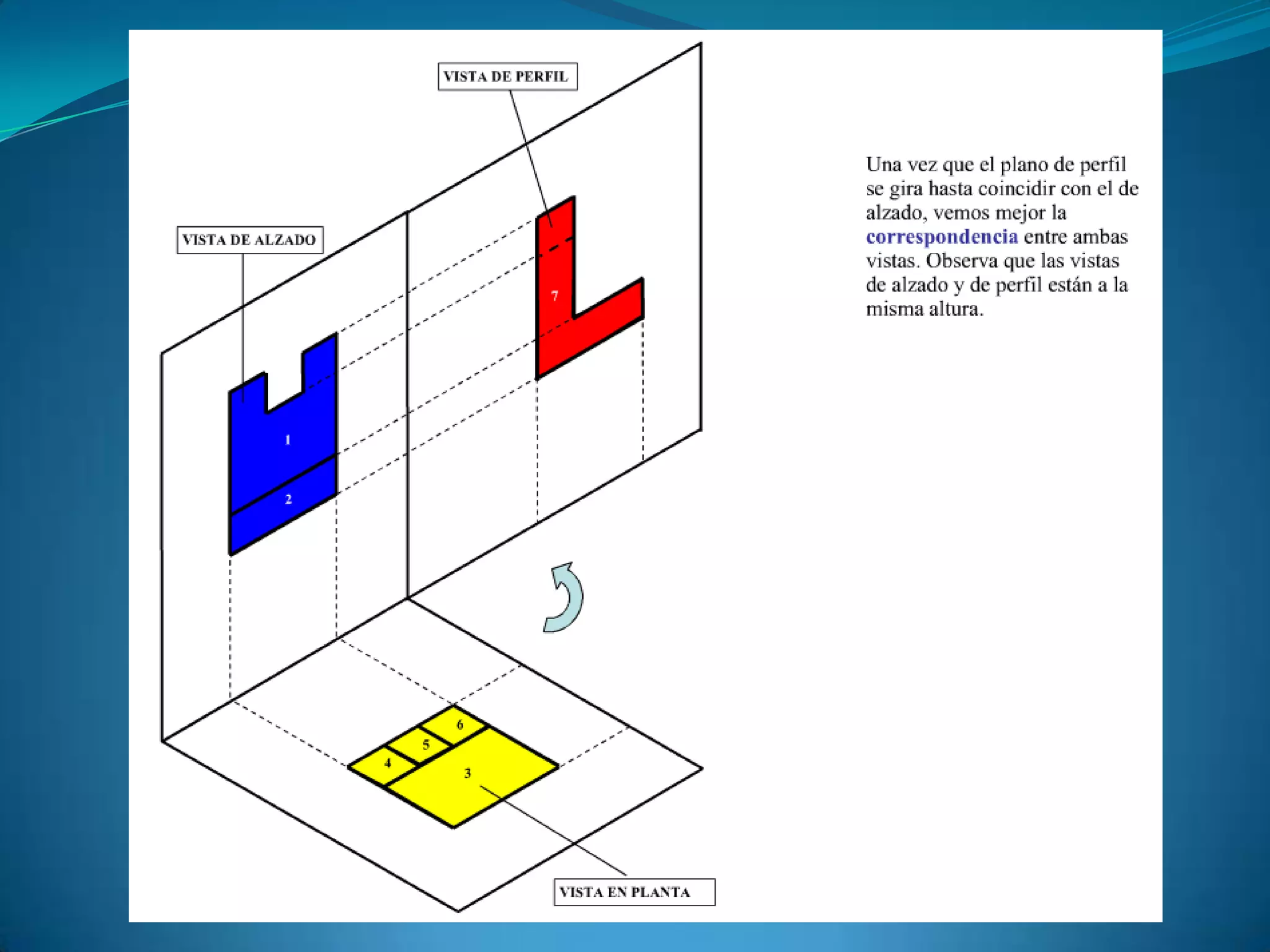 Proyecciones y tipos de vistas
