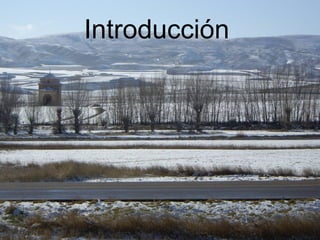 Introducción  